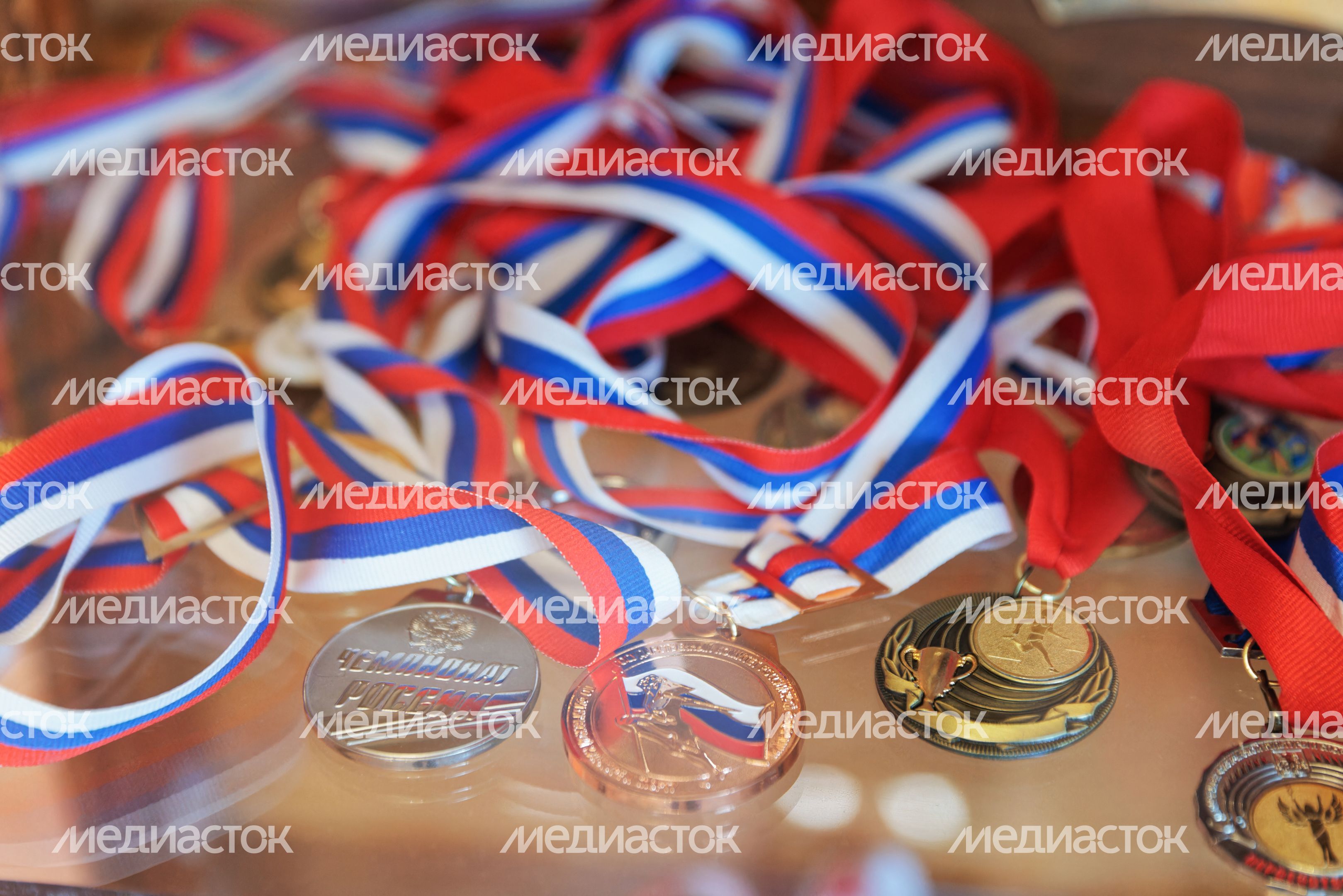 Музей легкой атлетики "Лесной стадион" в Чехове Музей легкой атлетики "Лесной стадион" в Чехове