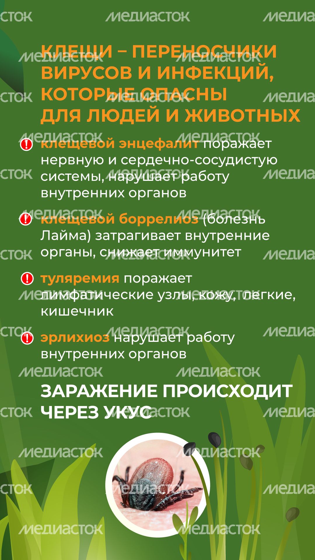 комлесхоз_клещи_верт_3