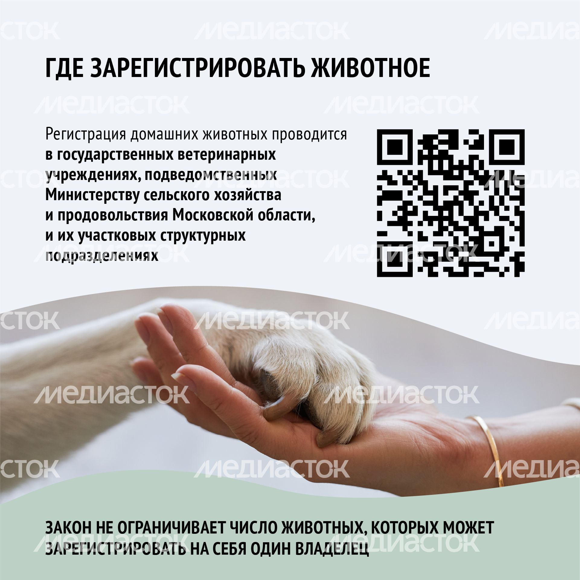 Зарегистрировать домашнее животное ред 2-квадрат-04.png