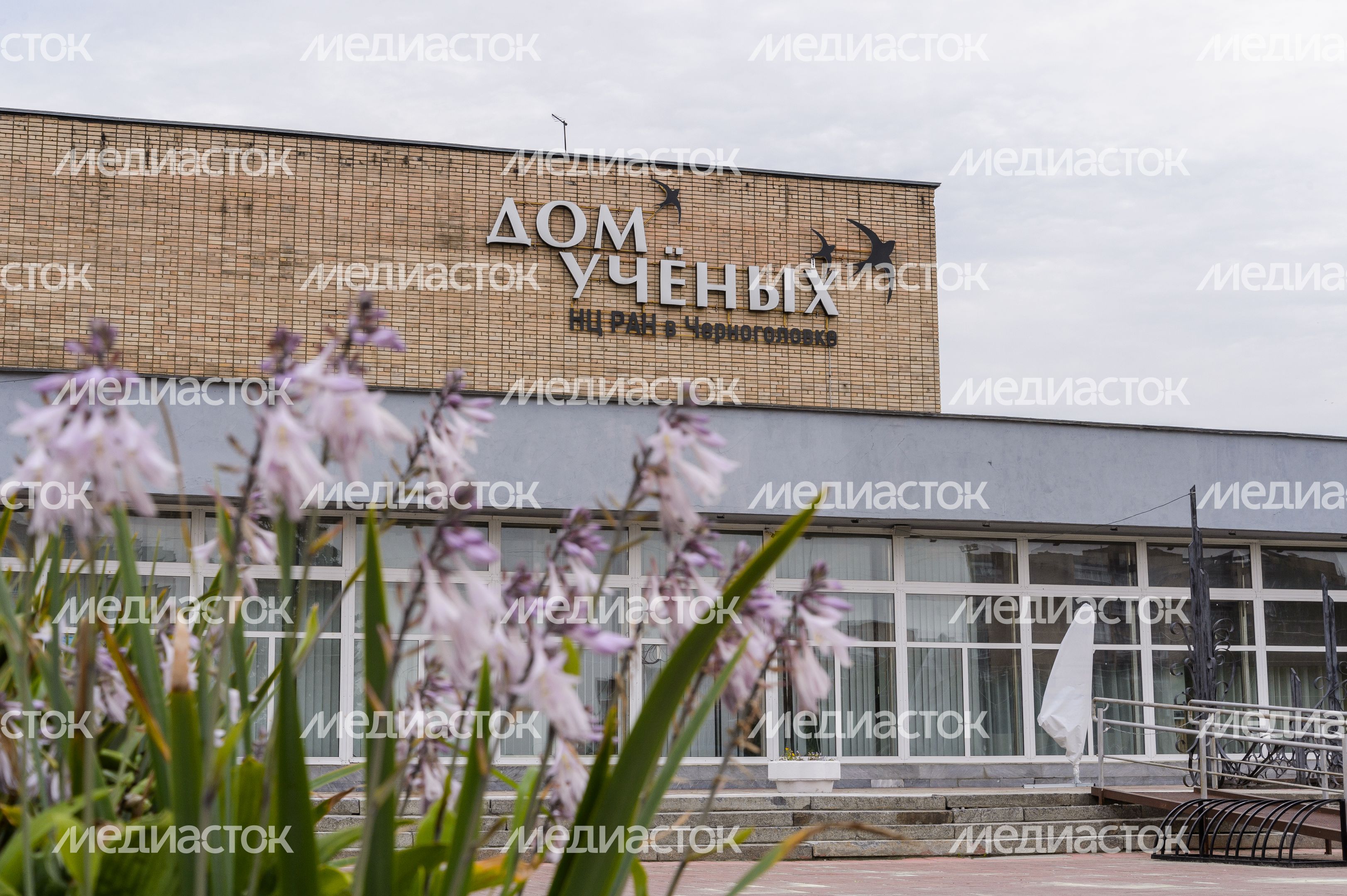 Черноголовка. Дом ученых Научного центра РАН