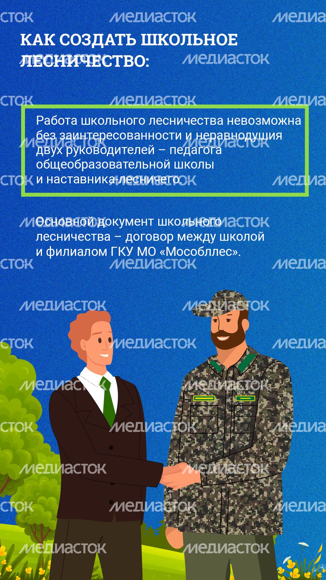 Вертикаль_Школьные лесничестваArtboard 4.jpg