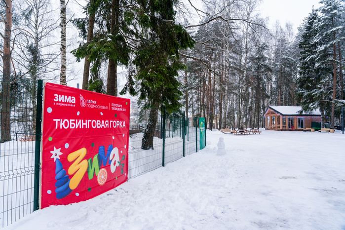 Лесопарк «Талицкий лес» зимой в Клину