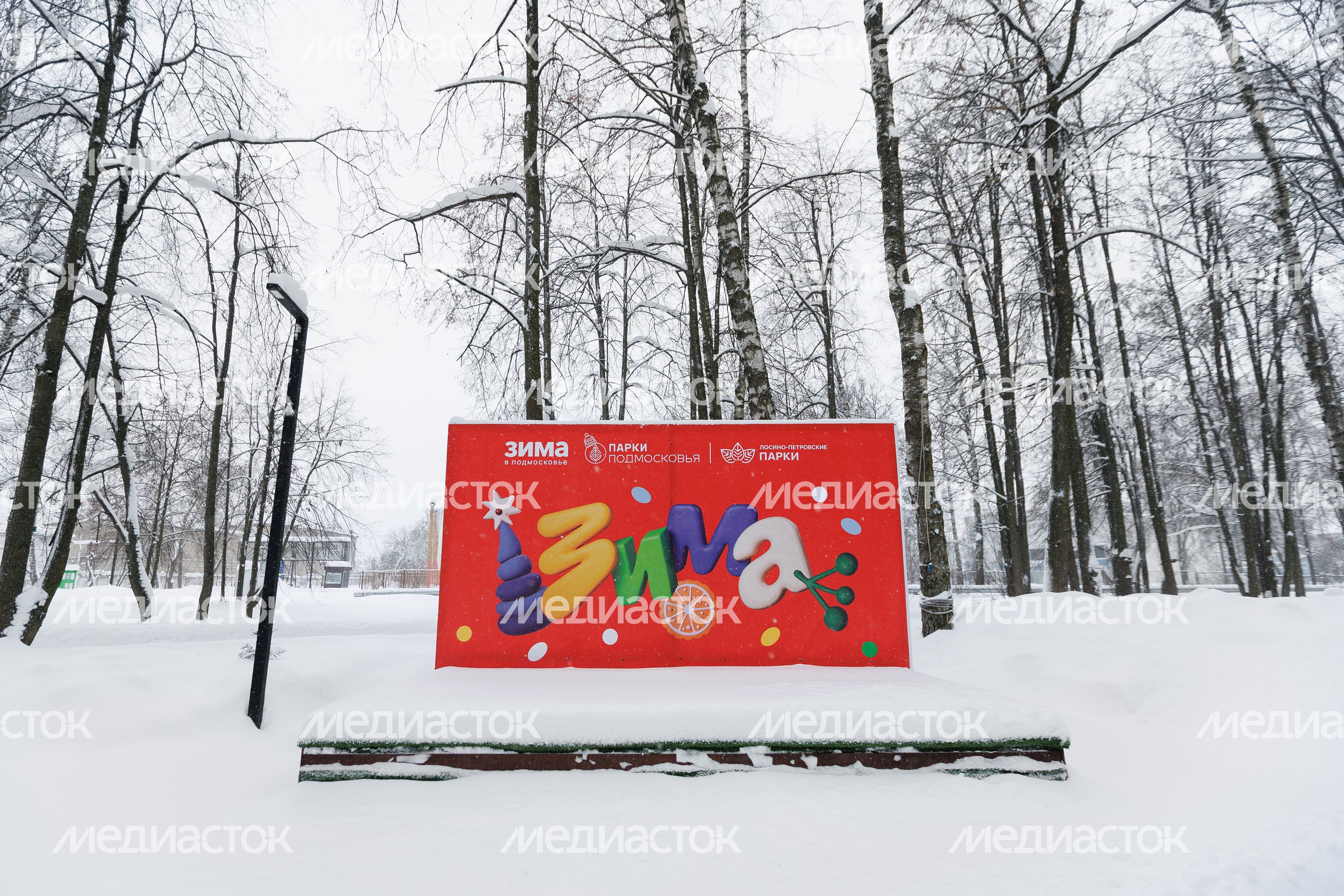 Зима в Лосино-Петровском парке Зима в Лосино-Петровском парке