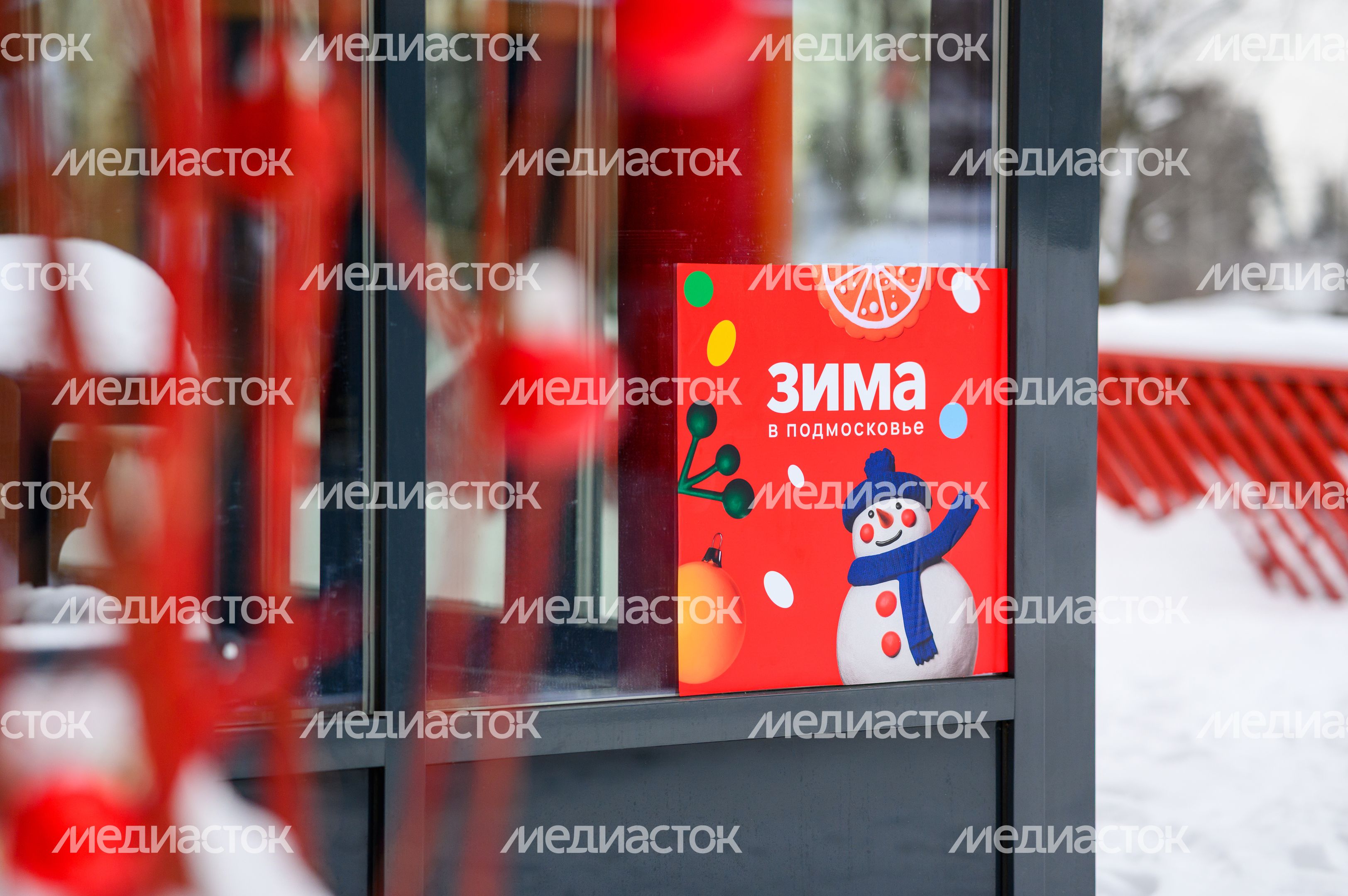Вишняковский лесопарк в Балашихе. Зима Вишняковский лесопарк в Балашихе. Зима