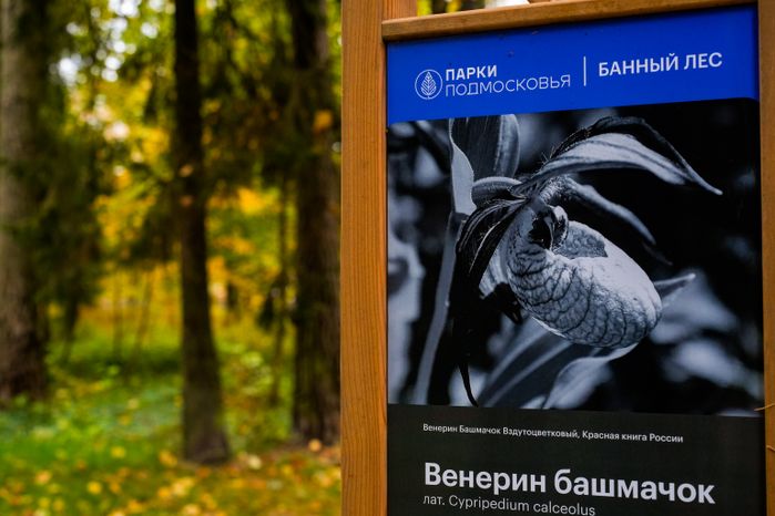 В Красноармейске после благоустройства открыт лесопарк "Банный лес"