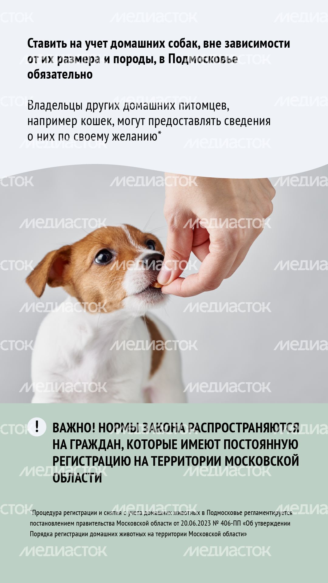 Зарегистрировать домашнее животное ред 2-вертикаль-03.png