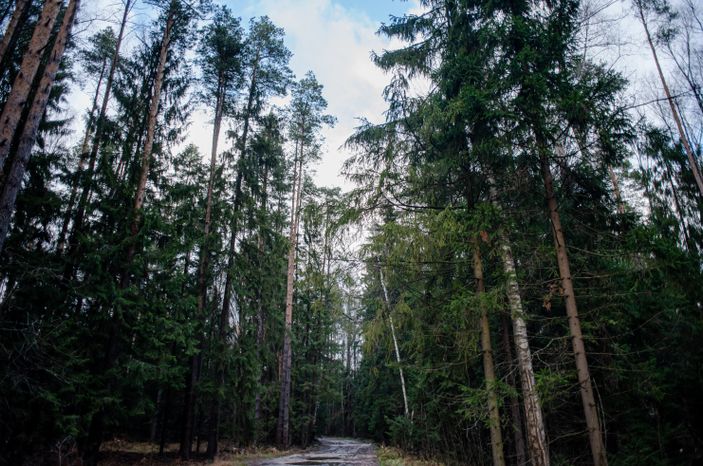 Осенние виды природного заказника Арюшина Гора