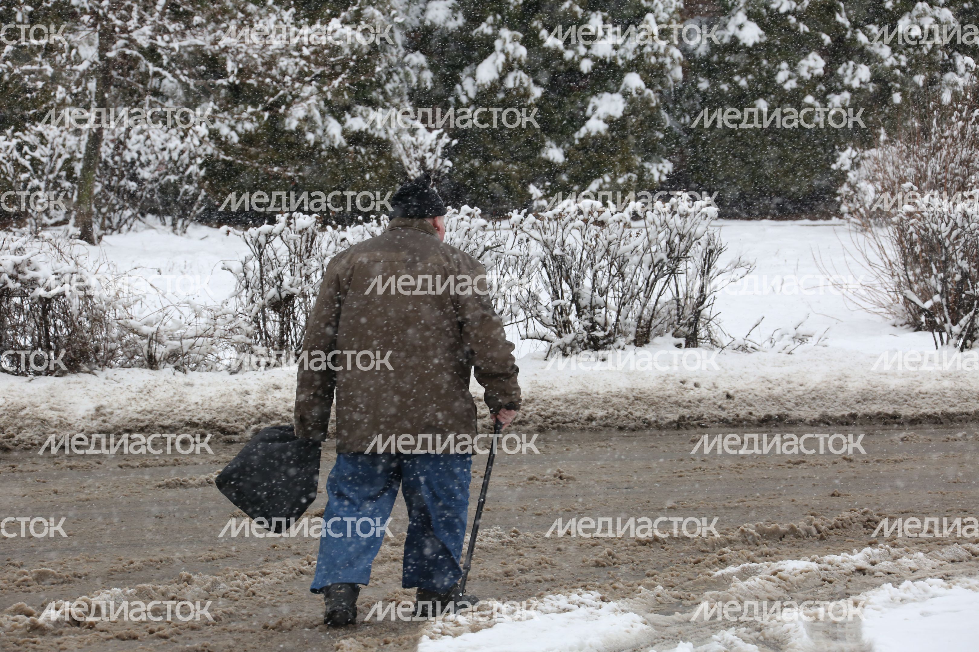Снегопад в Кашире