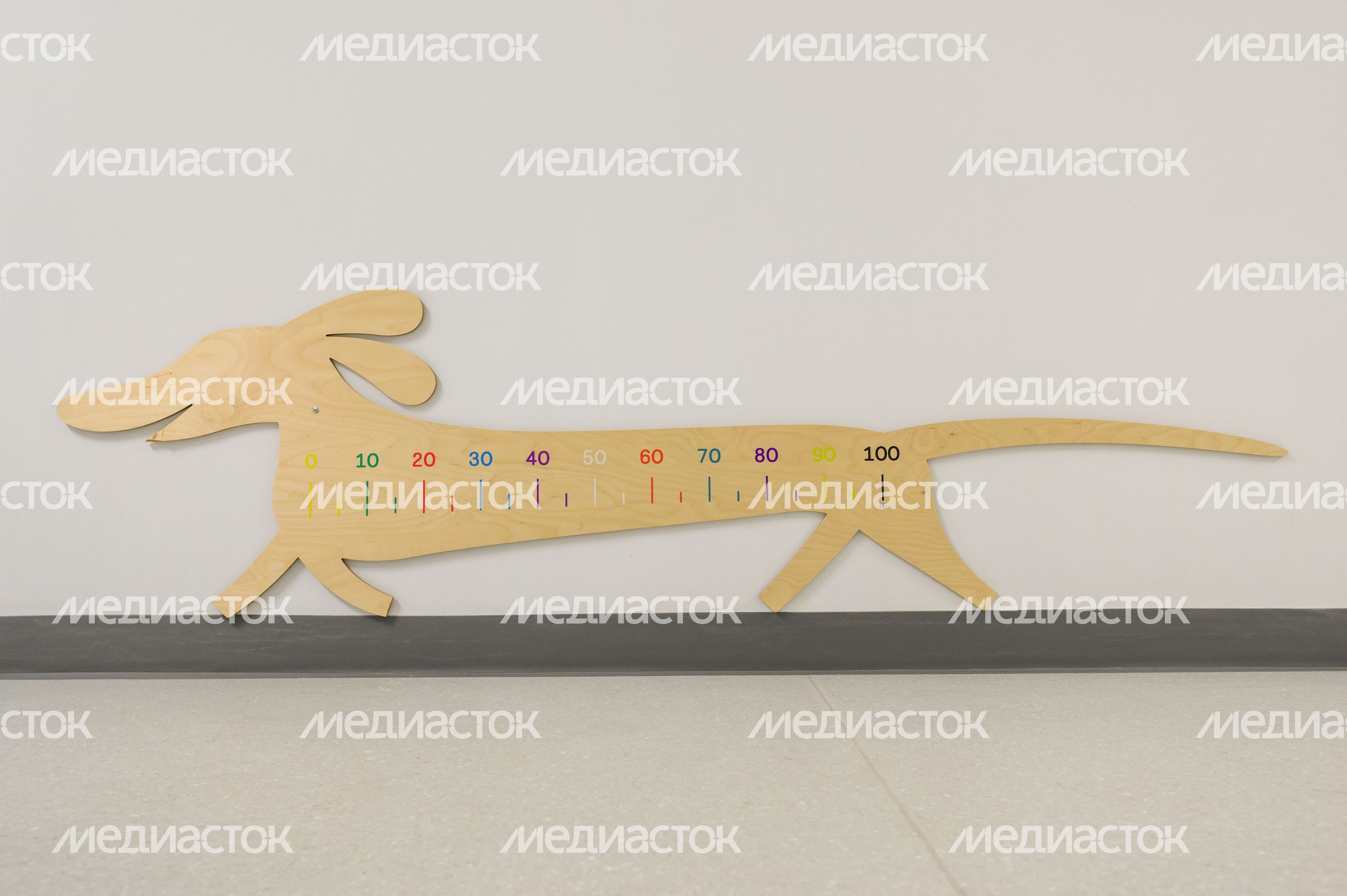 Новый детский сад №58 в ЖК «Измайловский лес» в Балашихе Новый детский сад №58 в ЖК «Измайловский лес» в Балашихе