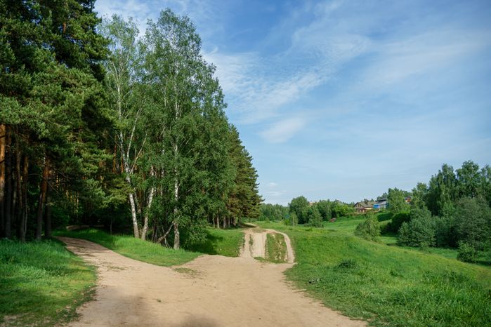 Парк "Городской лес" в Домодедово