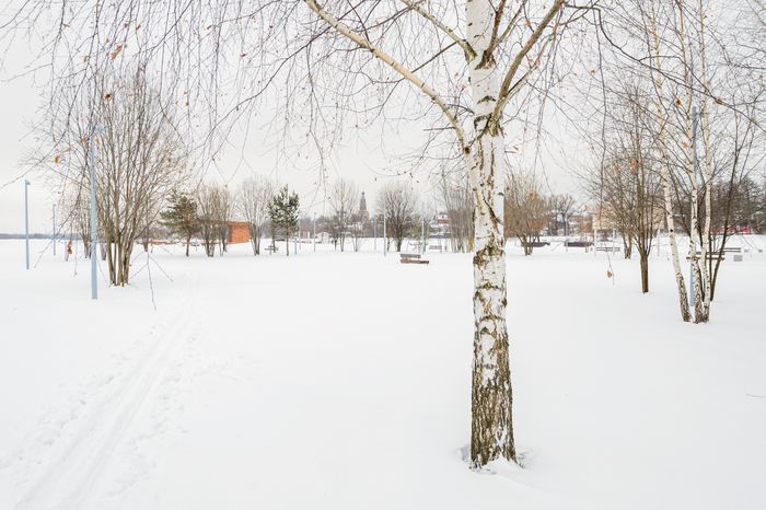 Бронницы. Парк «Бронницкий луг». Зима