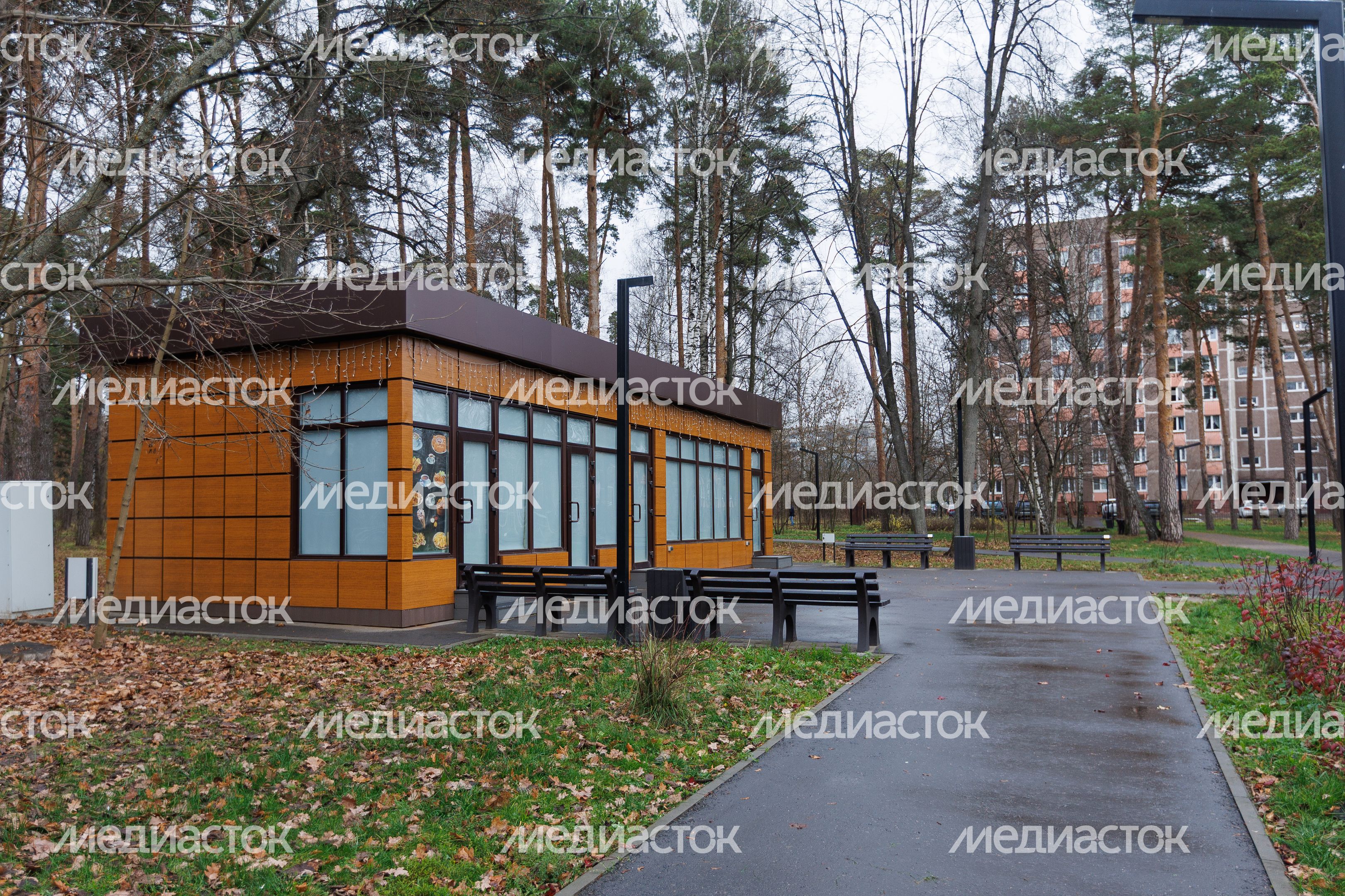 Глуховский парк в Ногинске осенью Глуховский парк в Ногинске осенью