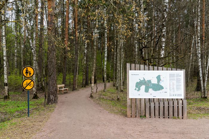 Мещерский парк в Одинцовском округе. Весна