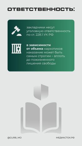 Что делать, если вы заметили закладчика вертикаль 06