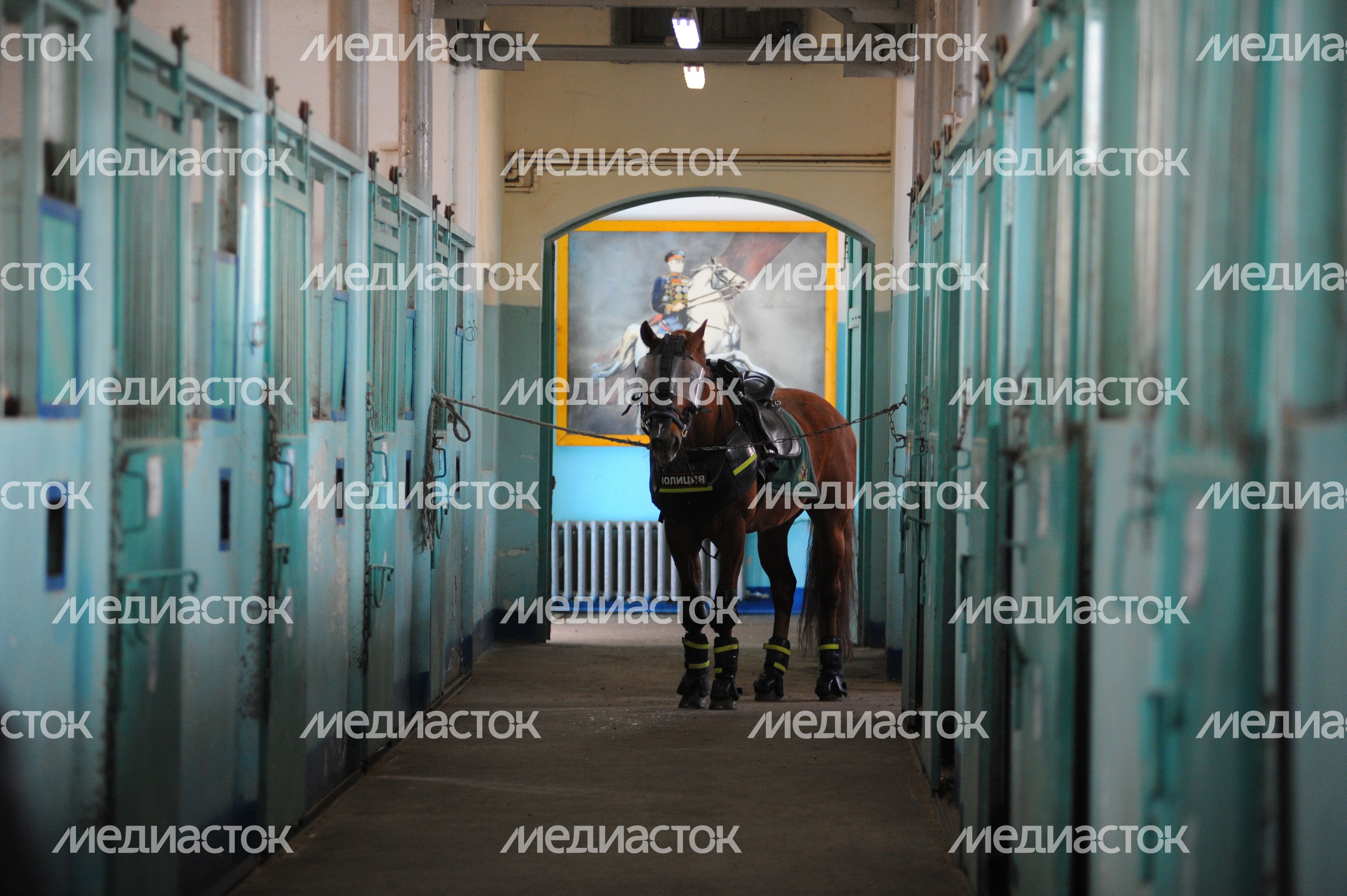 Конная полиция Москвы