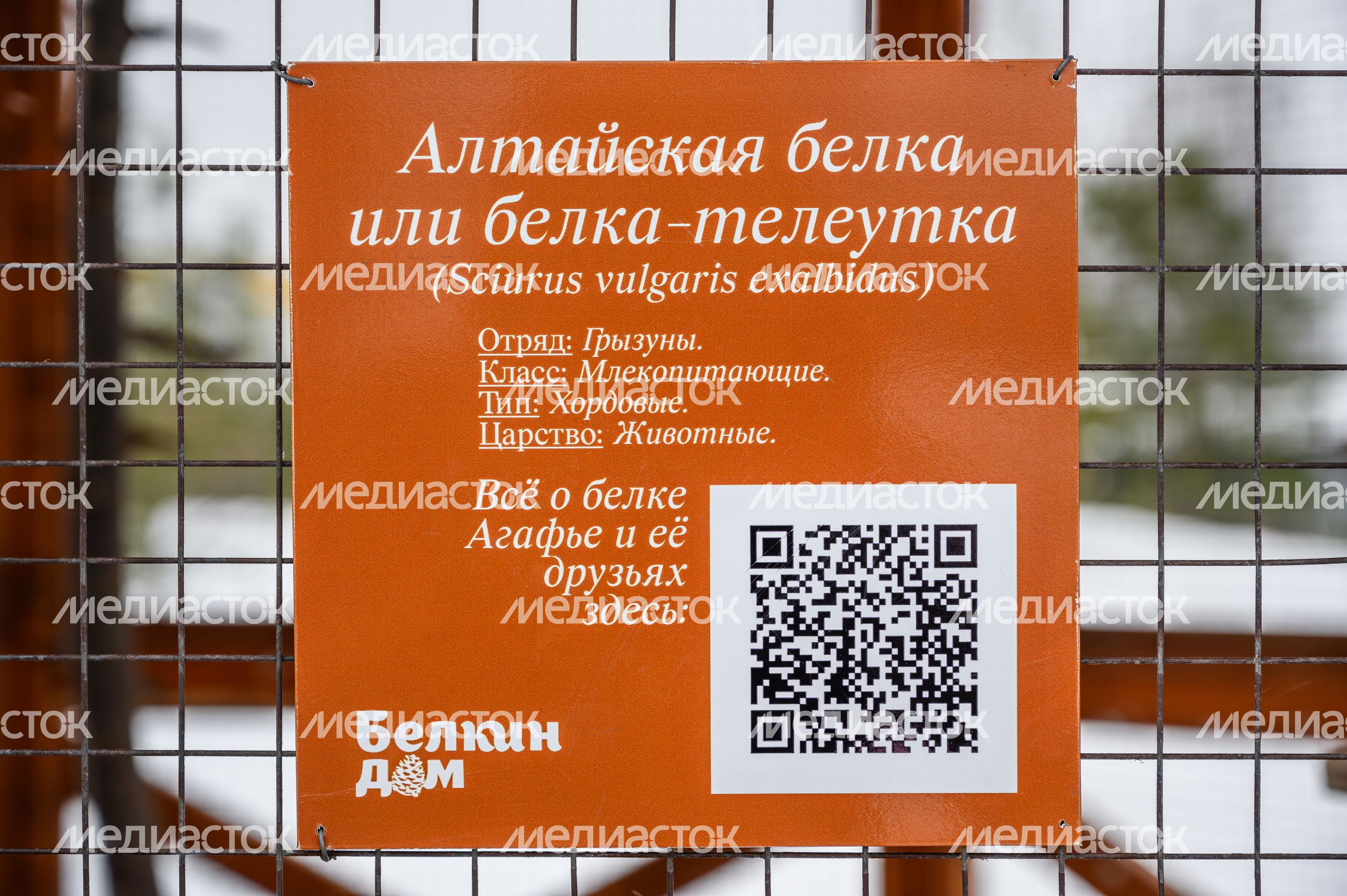 Парк культуры и отдыха "Дулёвский" в Орехово-зуевском городском округе Парк культуры и отдыха "Дулёвский" в Орехово-зуевском городском округе