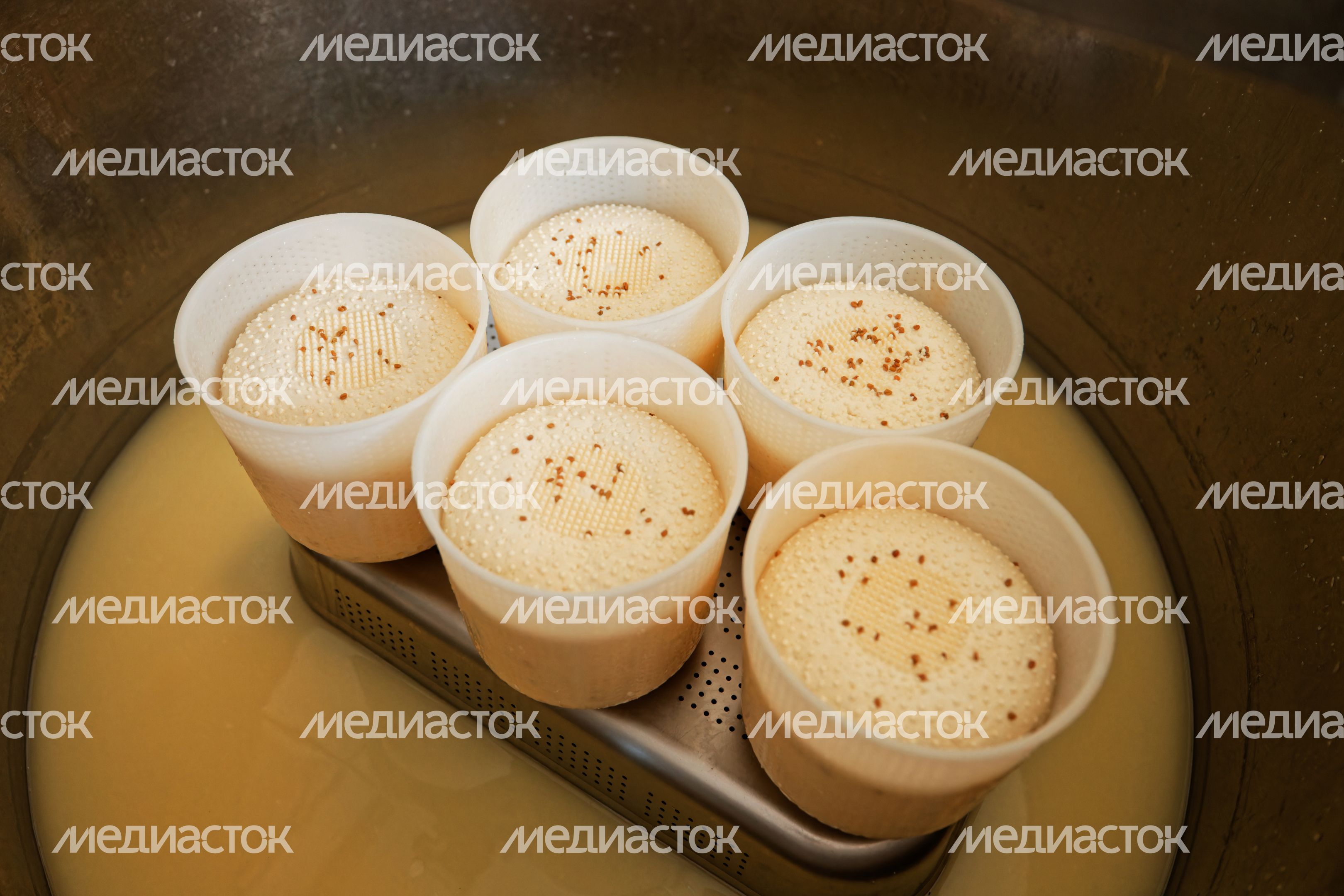 Молочная ферма "Черный лис" в Чехове