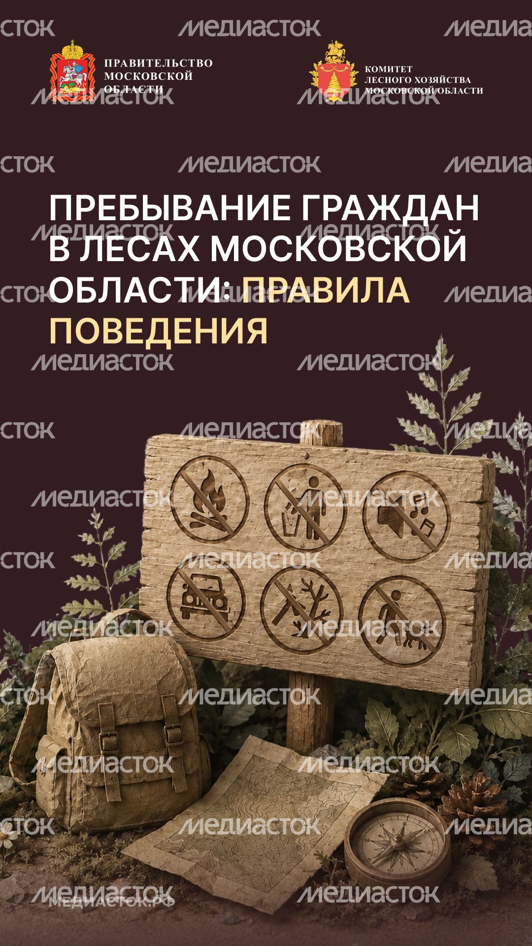 Пребывание граждан в лесах Вертикаль 01 Пребывание граждан в лесах Вертикаль 01