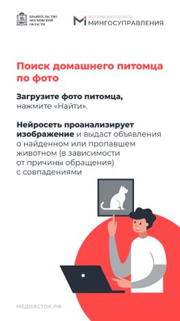 Домашние животные вертикаль 04