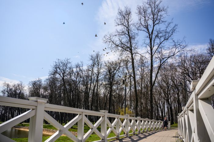 Парк усадьбы Кривякино в Воскресенске стал лауреатом всероссийской премии
