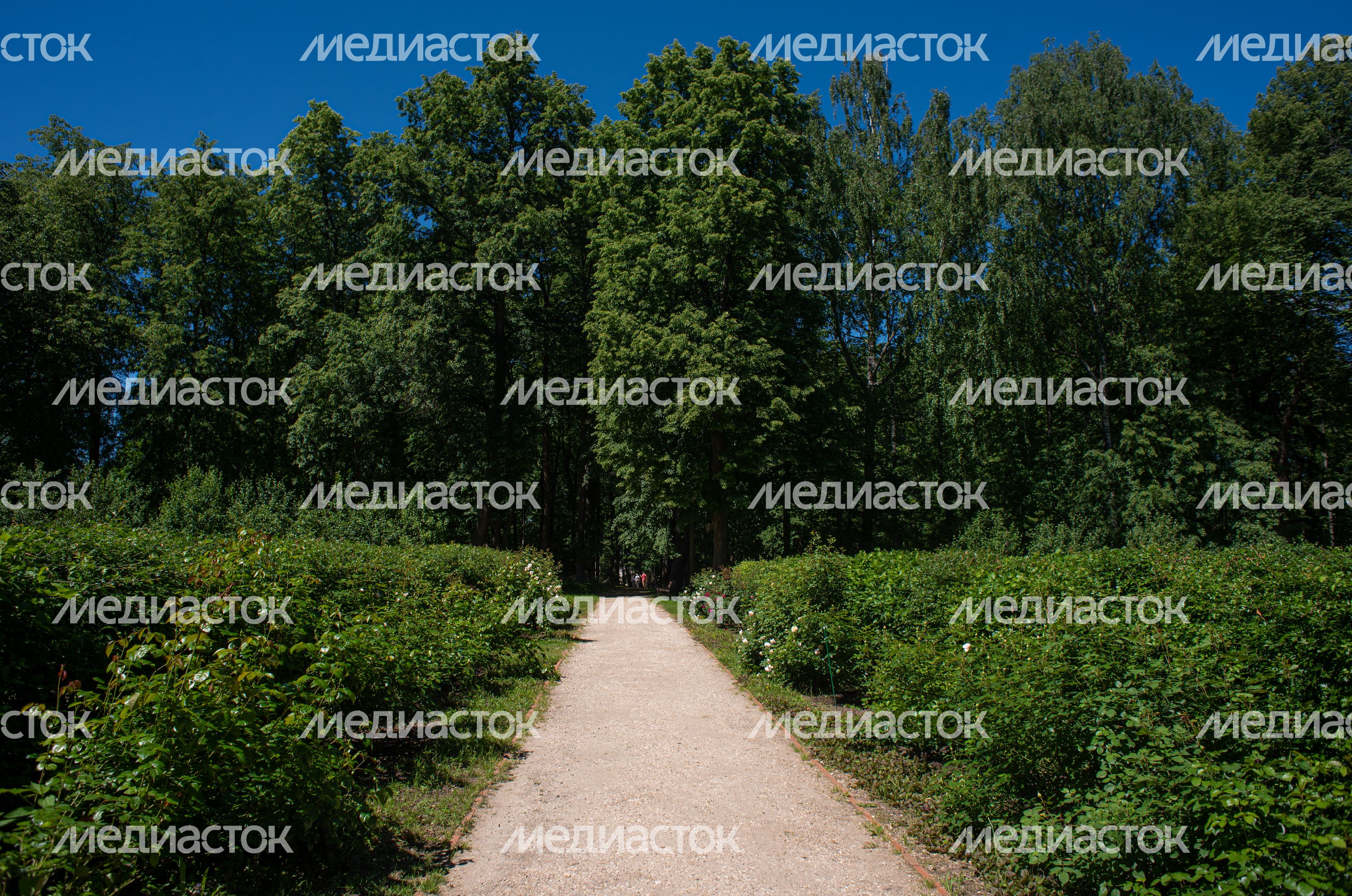 Летние виды Музея-заповедника «Абрамцево»