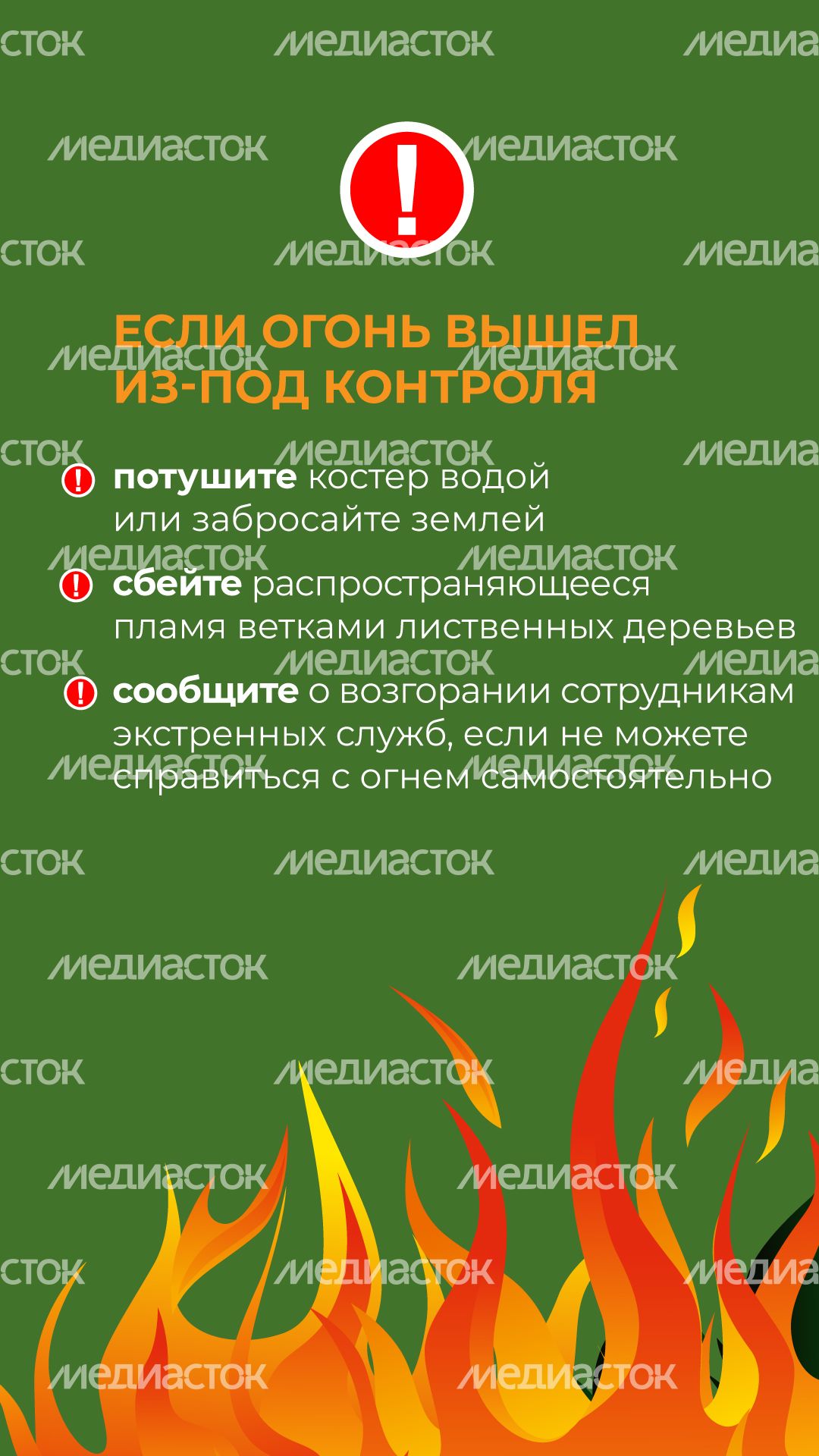 комлесхоз_костер_верт_7.jpg