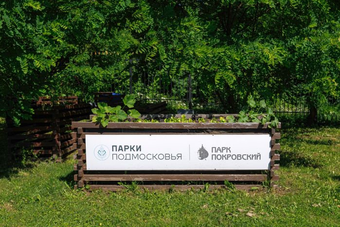 Историко-культурный и ландшафтный парк «Покровский» летом в Хотьково Сергиево-Посадского округа