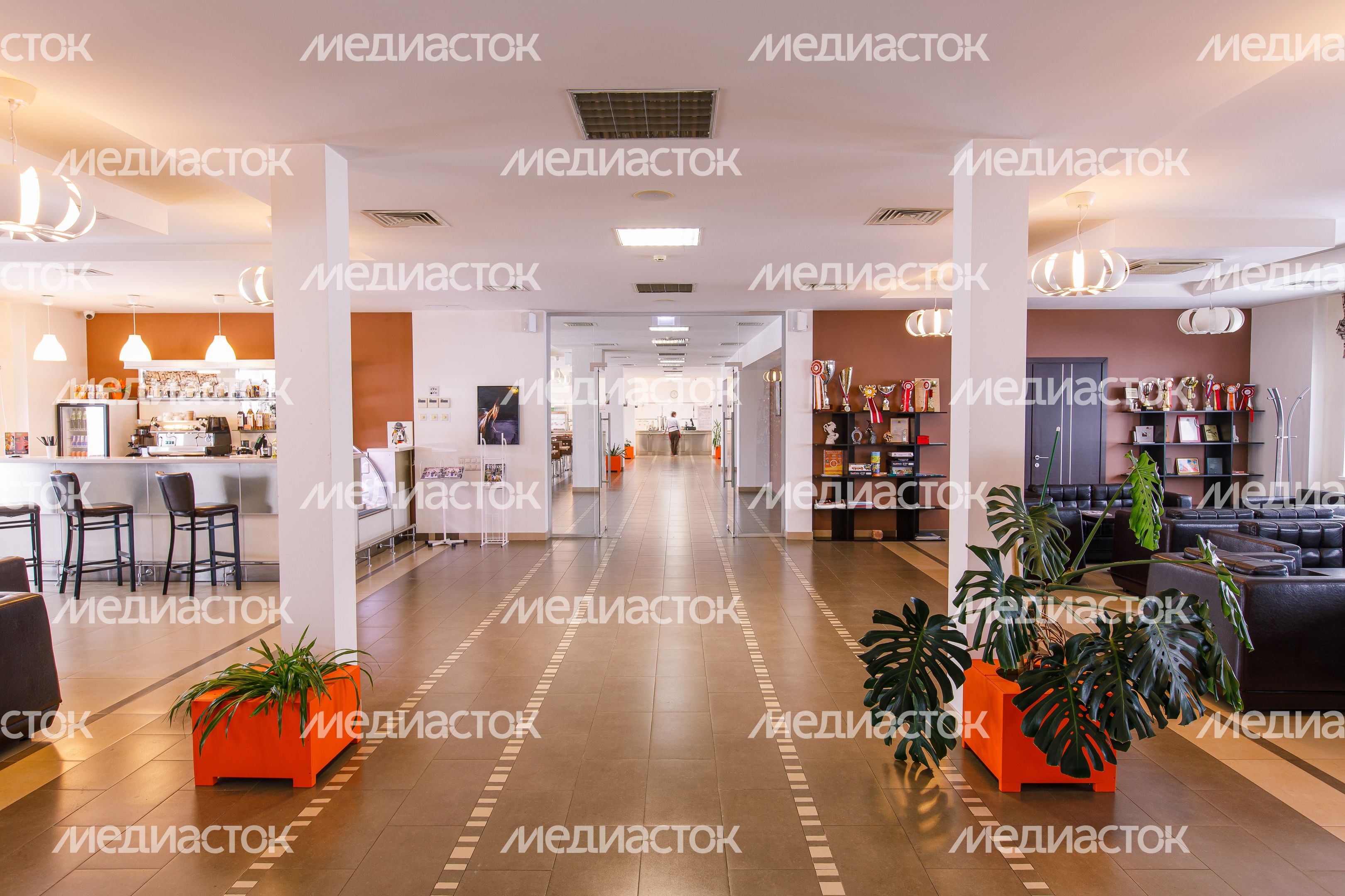 Конноспортивный клуб «Дивный» в деревне Падиково в Истре Конноспортивный клуб «Дивный» в деревне Падиково в Истре