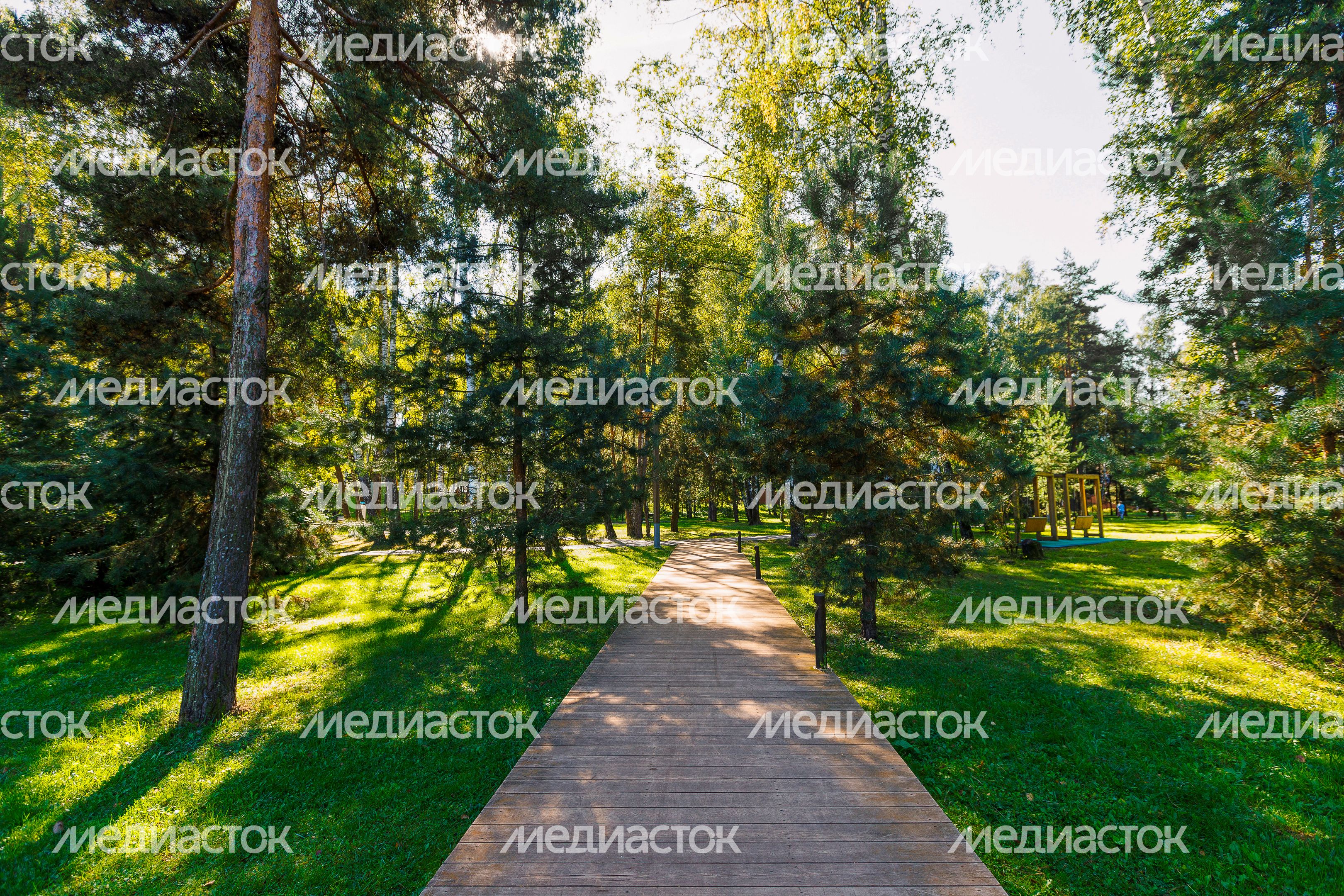 Дорожка в Никольско-Архангельском парке Балашихи летом Дорожка в Никольско-Архангельском парке Балашихи летом