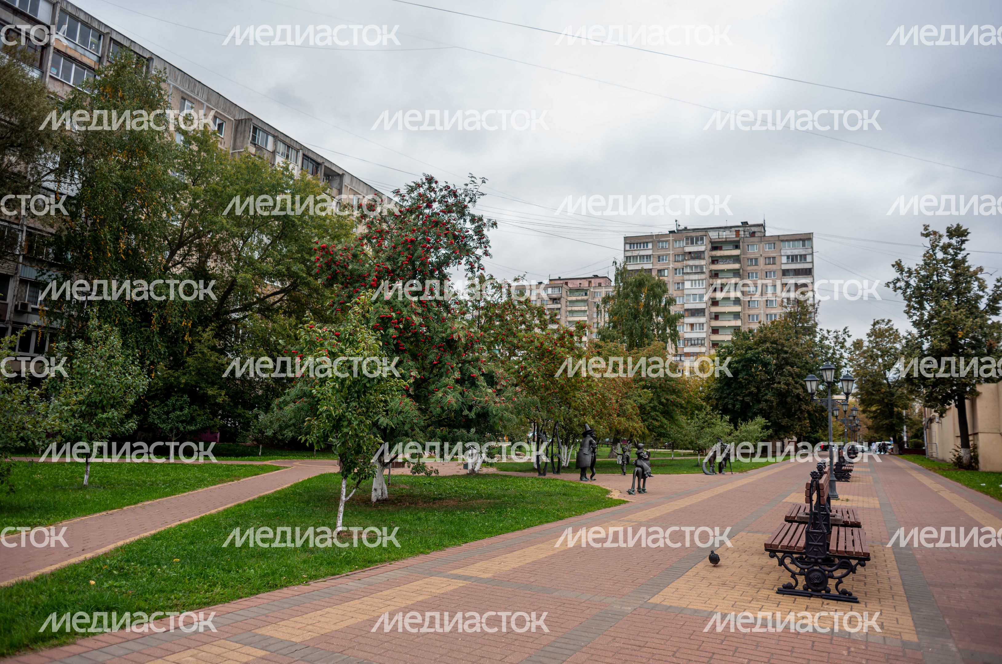 Школьный бульвар в Раменском
