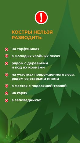 комлесхоз_костер_верт_4.jpg