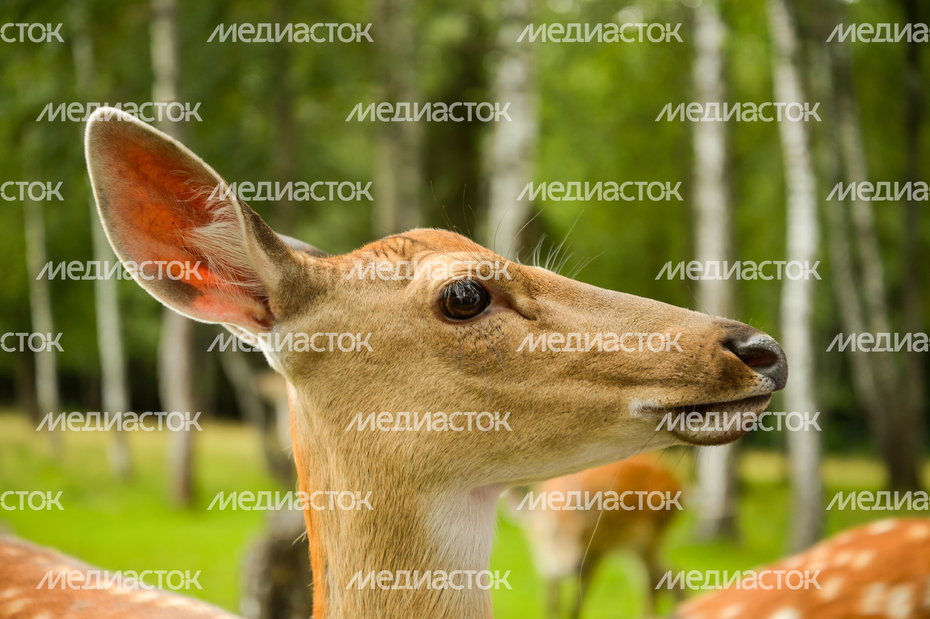 Усадьба Веретьево