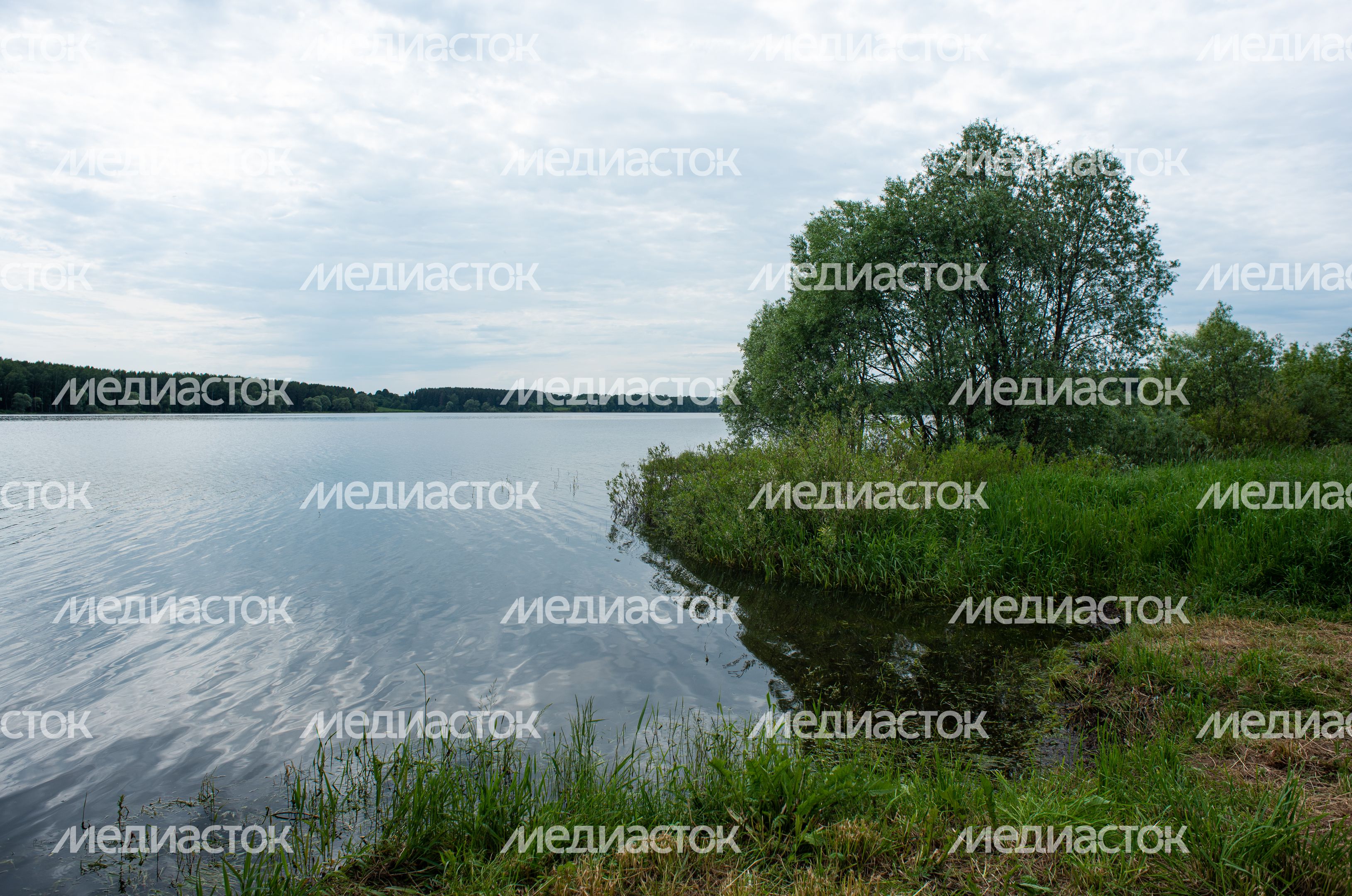 Верхнерузское водохранилище