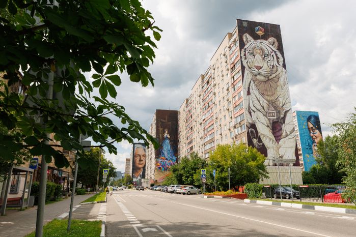 Муралы в Железнодорожном, Балашиха