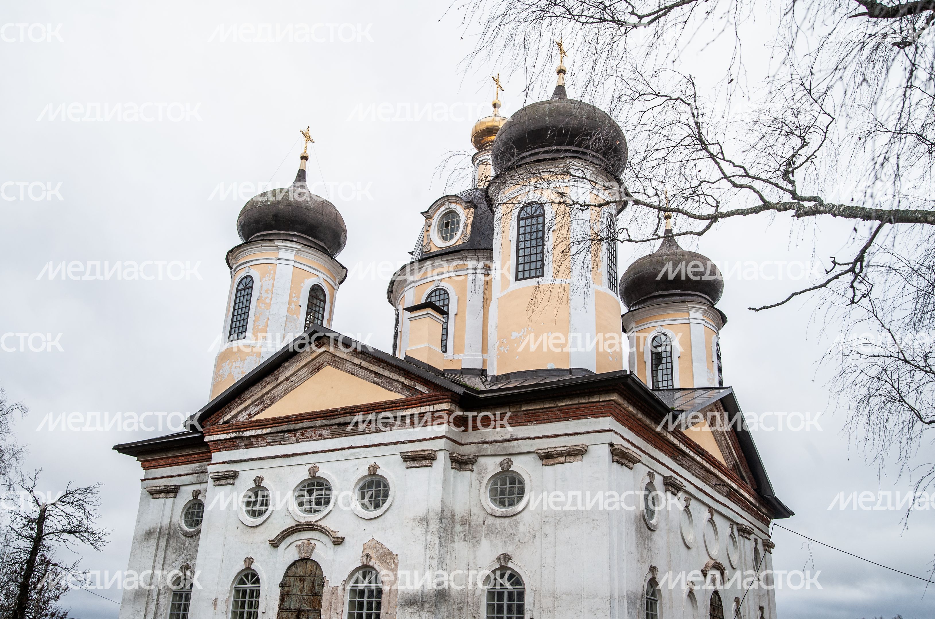 Церковь Преображения Господня в деревне Спасс-Косицы