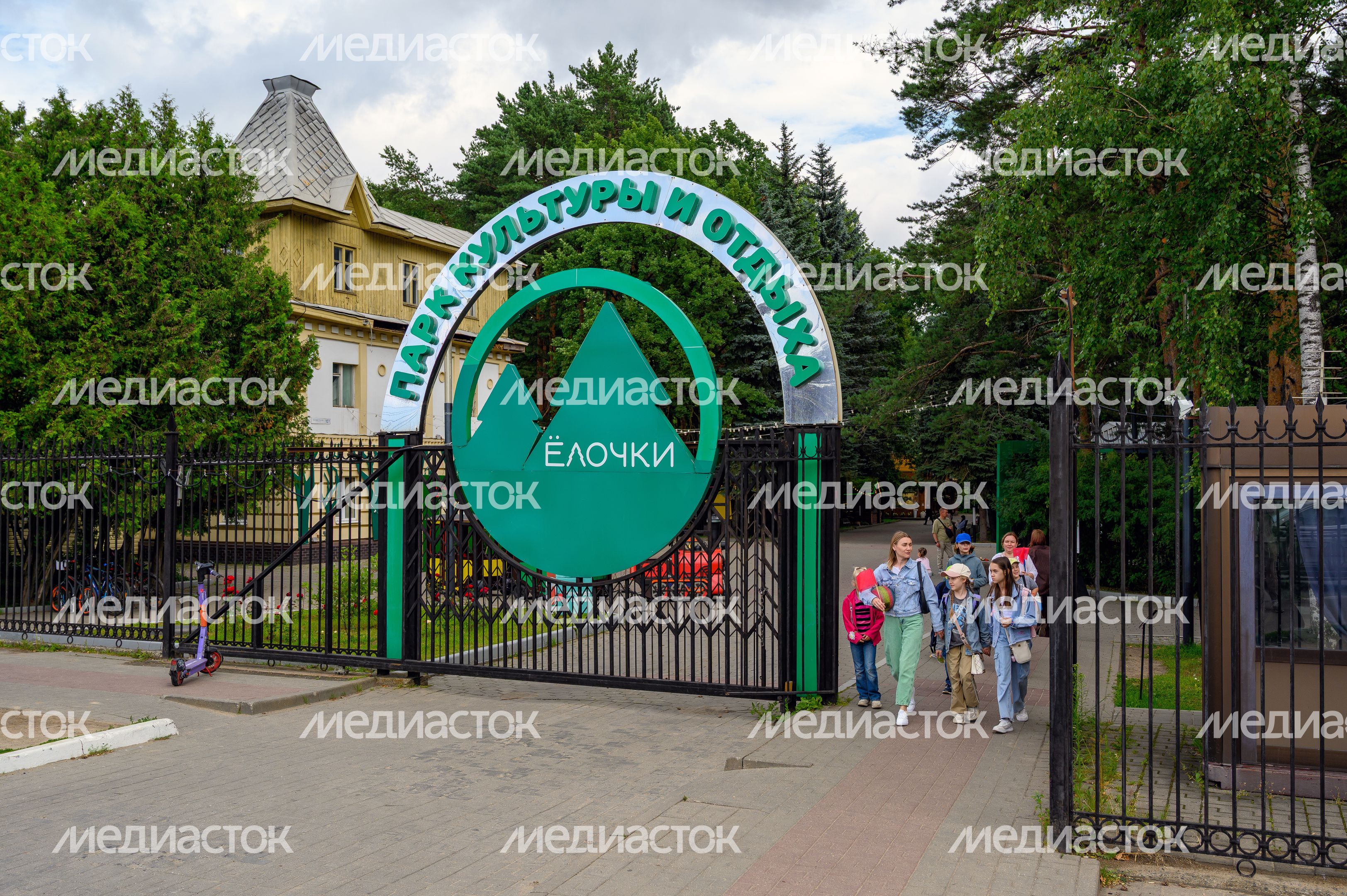 Лето в парке «Елочки» Домодедово Лето в парке «Елочки» Домодедово