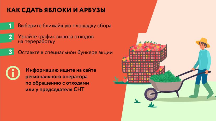 Горизонталь_арбузы_03-100.jpg