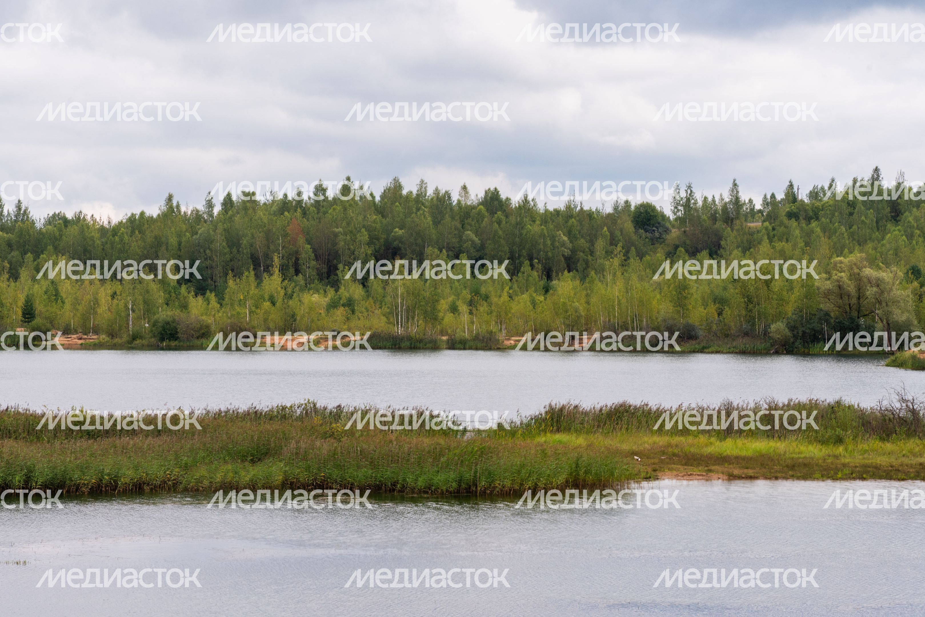 Песчаные дюны в Сычево Волоколамского округа Песчаные дюны в Сычево Волоколамского округа