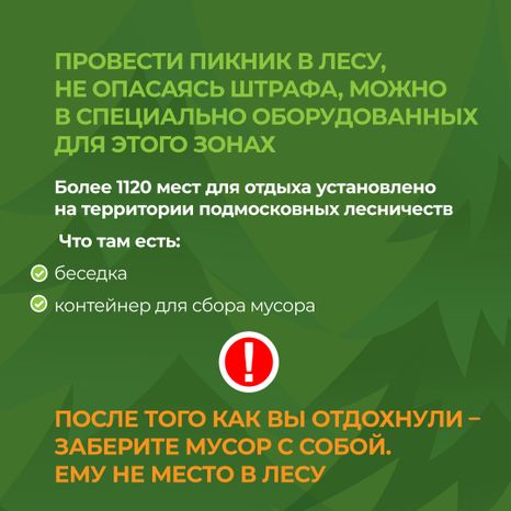 комлесхоз_костер_кв_9.jpg