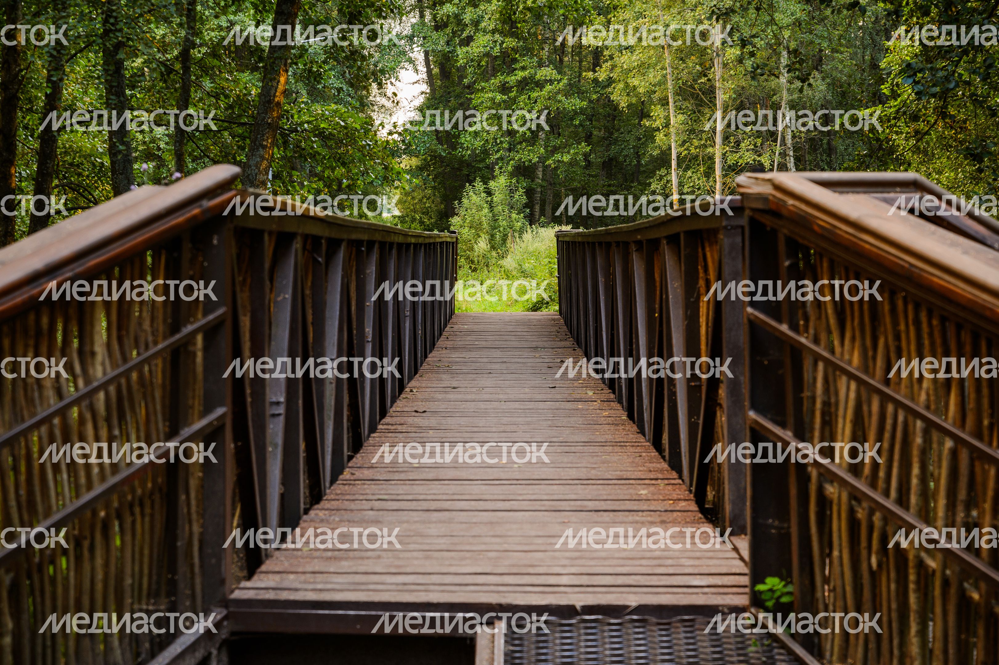Горокруг Черноголовка. Летние виды реки Черноголовки