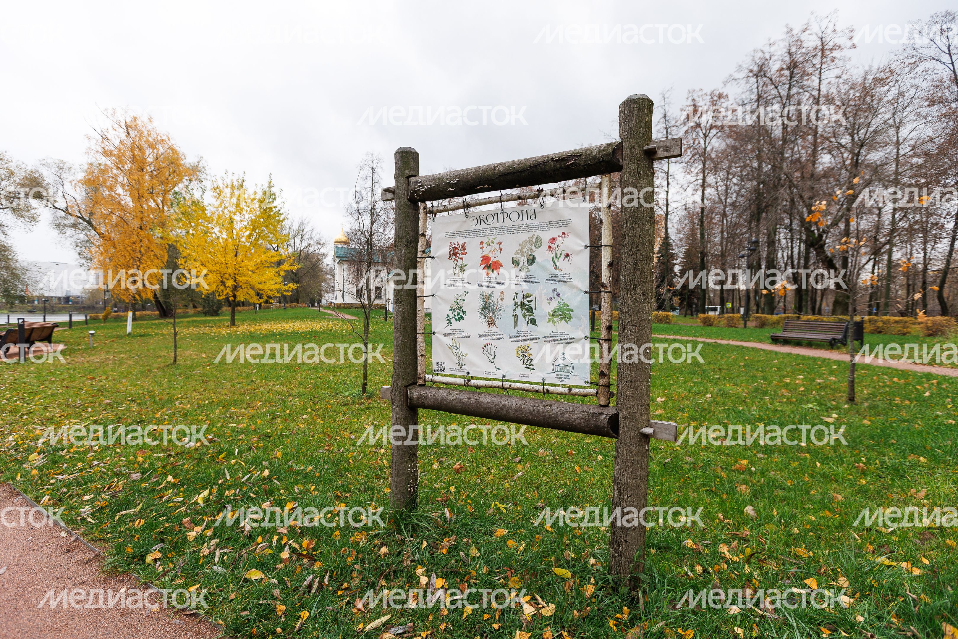 Парк усадьбы Белая Дача в Котельниках осенью Парк усадьбы Белая Дача в Котельниках осенью