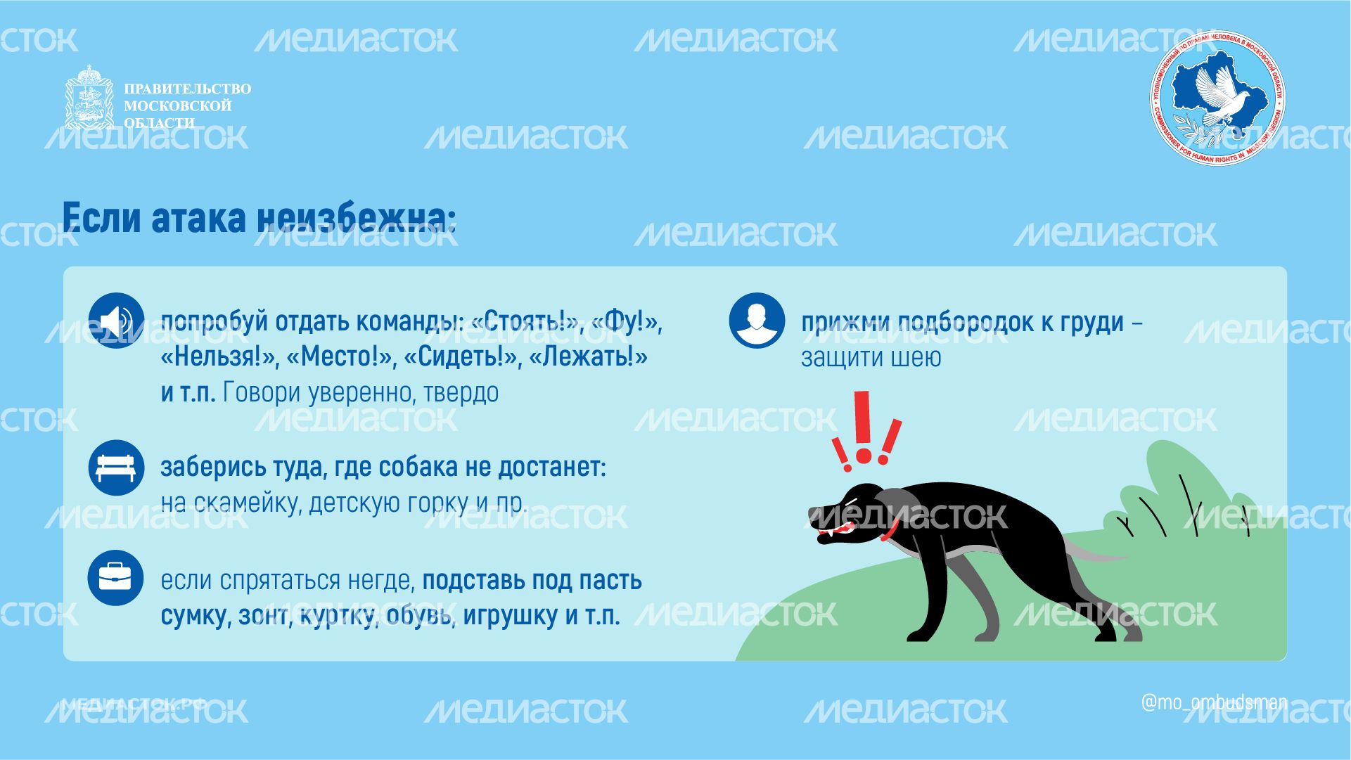 Осторожно злая собака горизонталь 06 Осторожно злая собака горизонталь 06