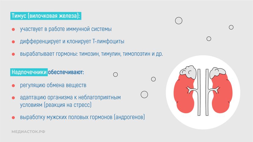 Эндокринные заболевания у наркозависимых горизонталь 06