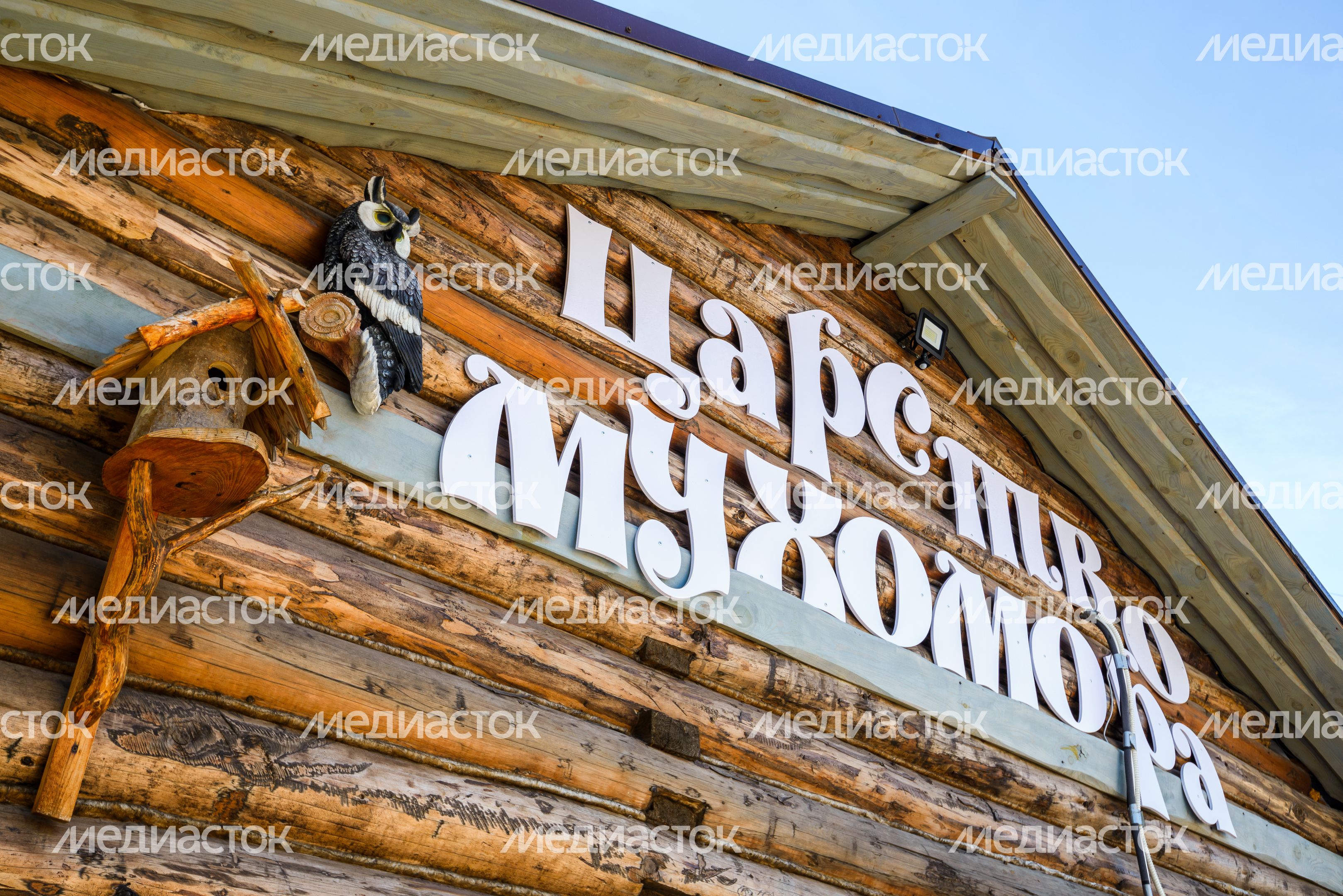 Сказочный музей Бабы Яги в царстве Мухомора в округе Щелково Сказочный музей Бабы Яги в царстве Мухомора в округе Щелково