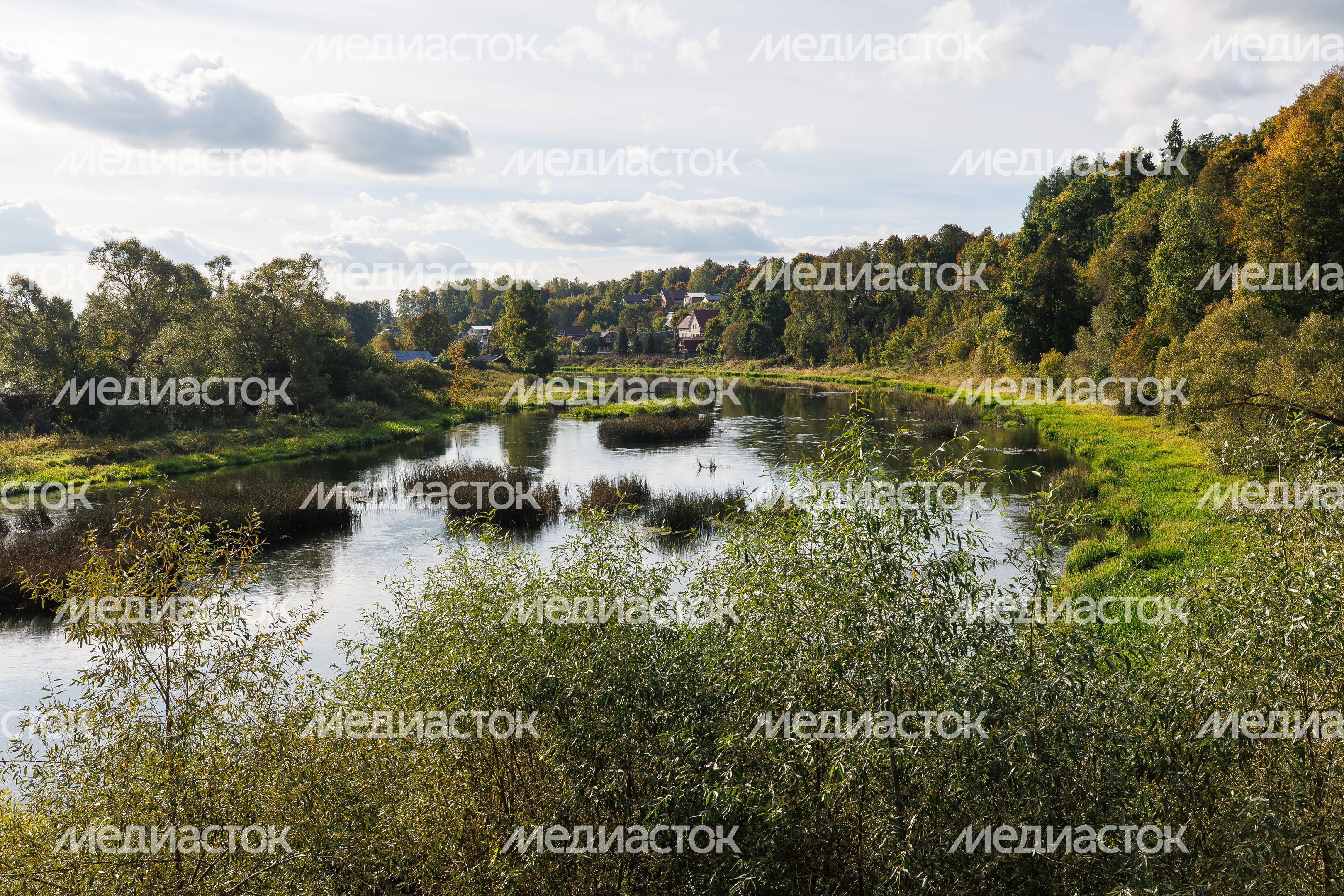 Река Руза в городе Руза Река Руза в городе Руза