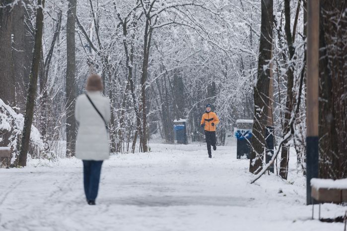 Первый снег в Химкинском лесу