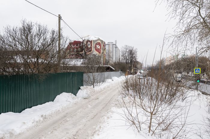 Дом-слон в подмосковных Островцах