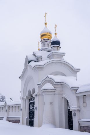 Храм Александра Невского в Истре