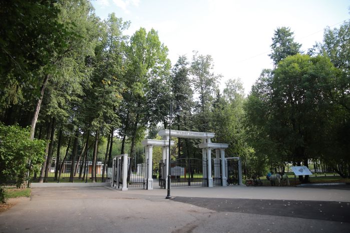 Кривякино