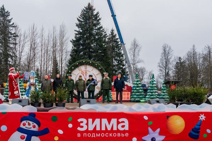 Главную новогоднюю елку страны спилили в Рузском округе